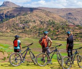 People in bicycle